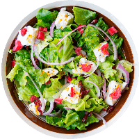 plate1